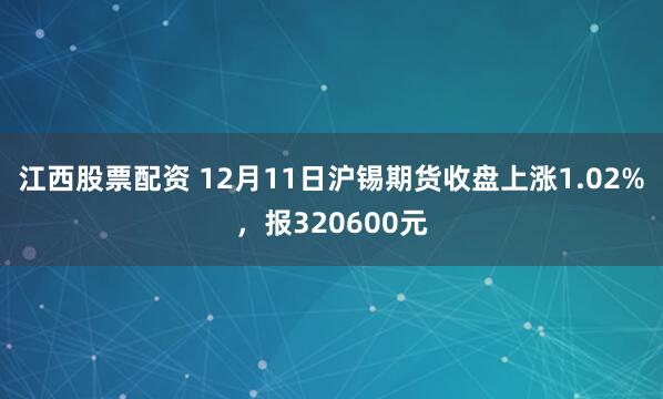 江西股票配资 12月11日沪锡期货收盘上涨1.02%，报320600元