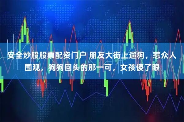 安全炒股股票配资门户 朋友大街上遛狗，惹众人围观，狗狗回头的那一可，女孩傻了眼